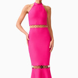 Elliatt Naomi Halter Gown in Raspberry Pink