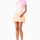 Elliatt Lumira Sequin Lace Mini Dress
