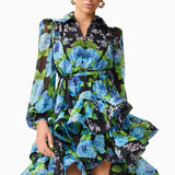 Briony Long Sleeve Mini Dress in Black Floral