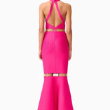 Elliatt Naomi Halter Gown in Raspberry Pink