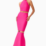 Elliatt Naomi Halter Gown in Raspberry Pink