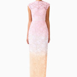 Elliatt Lumira Sequin Lace Gown in Pink Ombre