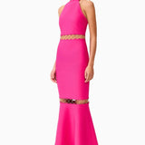 Elliatt Naomi Halter Gown in Raspberry Pink