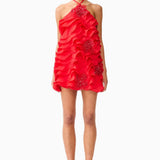 Elliatt Yvette Halter Mini Dress